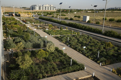 فرش نور و سایه